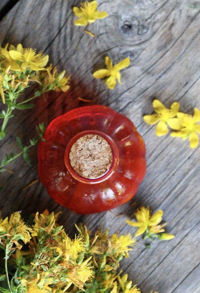An image of a bootle of St. John's Wort (Hypericum perforatum) infused oil